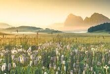 成人短视频下载-成人短视频下载，网络时代的隐秘角落与伦理边界