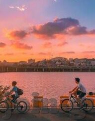 久草资源总站中文字幕免费-探索中文字幕的免费资源——久草资源总站