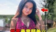 糖心app下载黄-园艺生活新风尚，探索美好数字园地